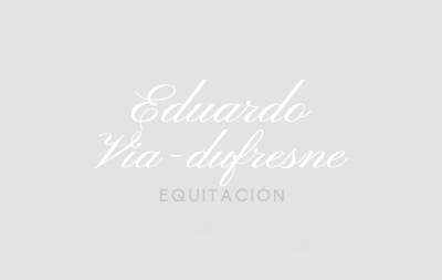 Jacaranda d'Estel caballo competicion de Eduardo Via-dufresne