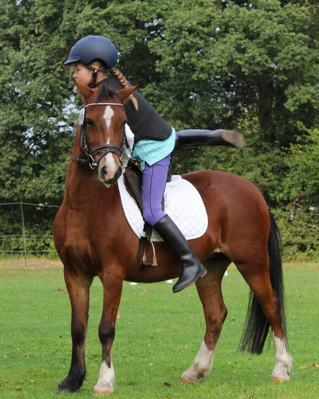 HVD-EQUITACION-NIÑOS-3